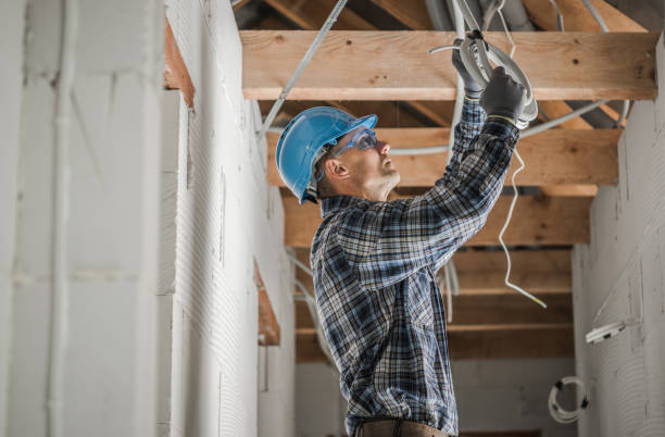 Best Local Electrician Companies  in Brandon, SD