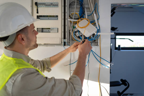 Best Electric Panel Repair  in Brandon, SD